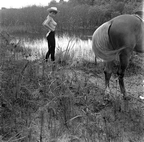 dondi penn nude|Dondi Penn (1960) nudes : OldSchoolCoolNSFW 